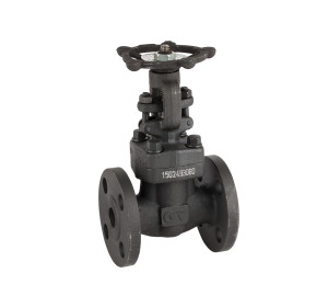 Gate valve with flanged ends ANSI 150 class