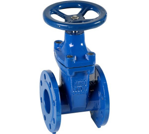 Gate valve with EPDM seal and ductile iron body PN 16