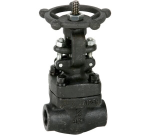 Gate valve class 800 NPT thread ends