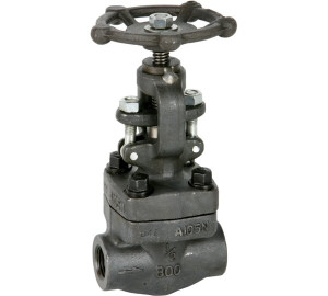 Globe valve class 800 S.W. ends