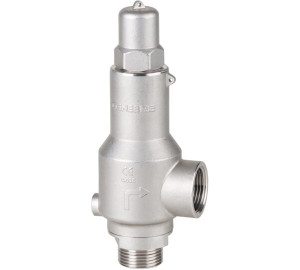 NPT Threaded Safety Valve