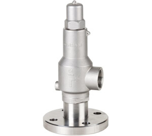 Safety Valve with flaged end