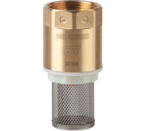 Check valve with filter
