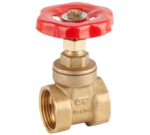 Brass gate valve