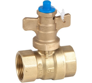 Anti-fraud straight valve F-F