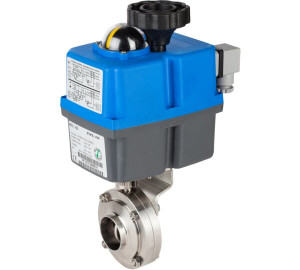 Butterfly valve end welded/welded