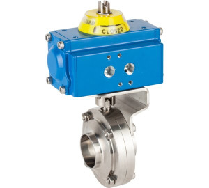 Butterfly valve end welded/welded