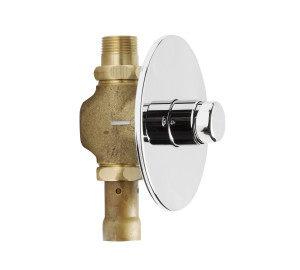 Timed 1” built-in flushing valve