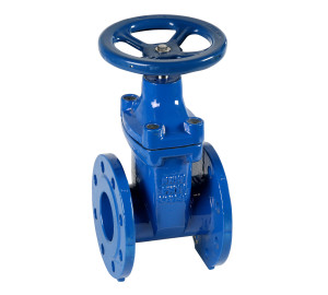 Gate valve with EPDM seal and ductile iron body PN 16