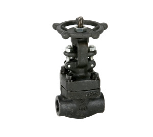 Gate valve class 800 NPT thread ends