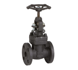 Globe valve with flanged ends ANSI 150 class