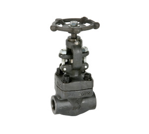 Globe valve class 800 NPT thread ends