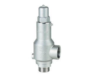 Safety Valve