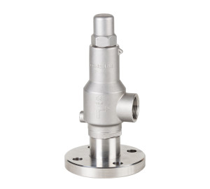 Safety Valve