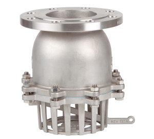 Foot check valve with DIN PN 16 flange end