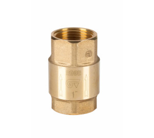 REGE check valve