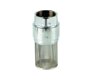 Check valve with filter