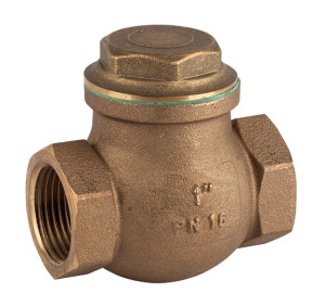 PTFE swing check valve