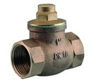 PTFE sealing check valve