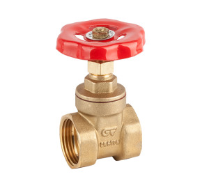 Brass gate valve