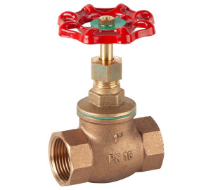 Globe valve