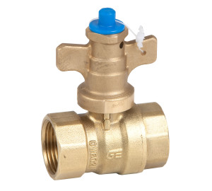 Anti-fraud straight valve F-F