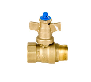 Anti-fraud straight valve M-F