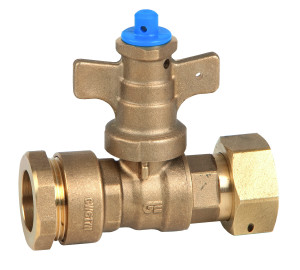 Against fraud straight valve PE-free nut