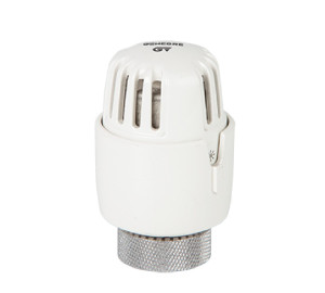 Thermostatic head